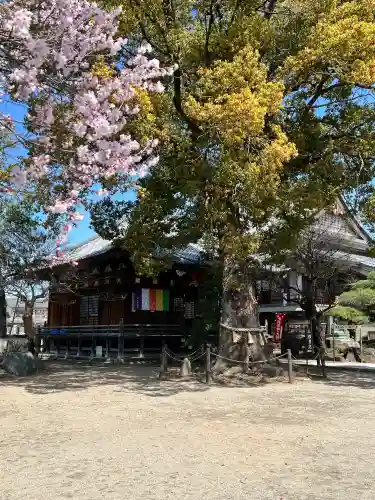 龍泉寺（足利厄除大師）(栃木県)