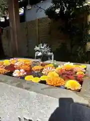 蛇窪神社の手水