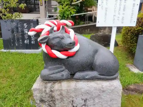 観音寺の狛犬