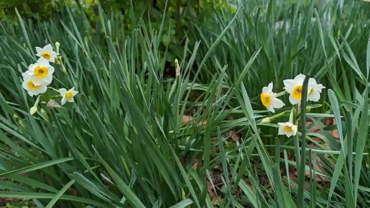 惠心院(京都府)