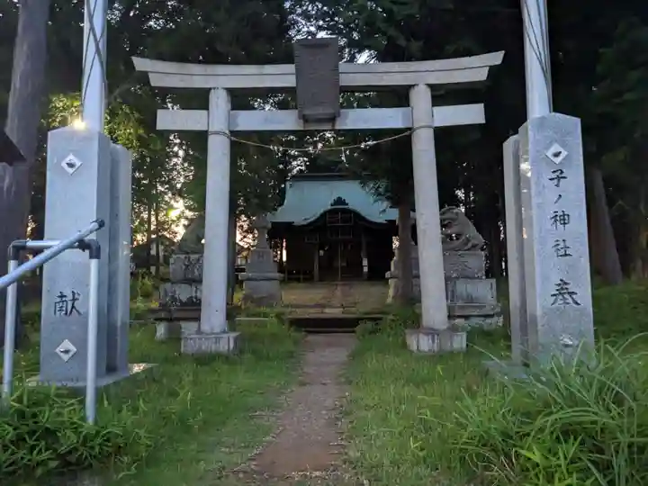子ノ神社(早野)(神奈川県)