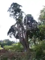 形部神社・佐波良神社の自然