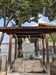 拝師神社の手水