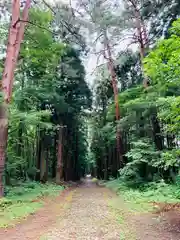 土津神社｜こどもと出世の神さまの自然