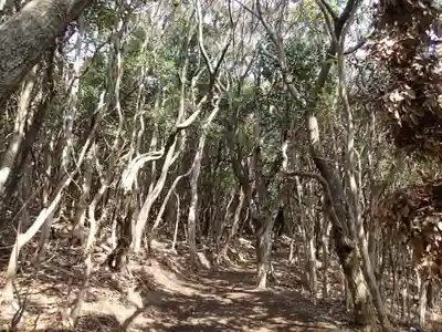 胡禄神社の自然