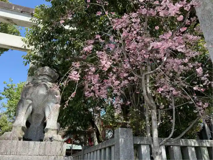 秩父神社(埼玉県)