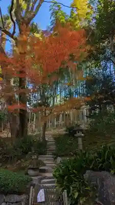 榮攝院（栄摂院）(京都府)