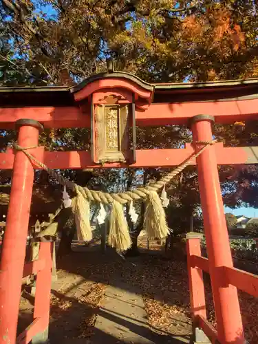 大根神社の鳥居