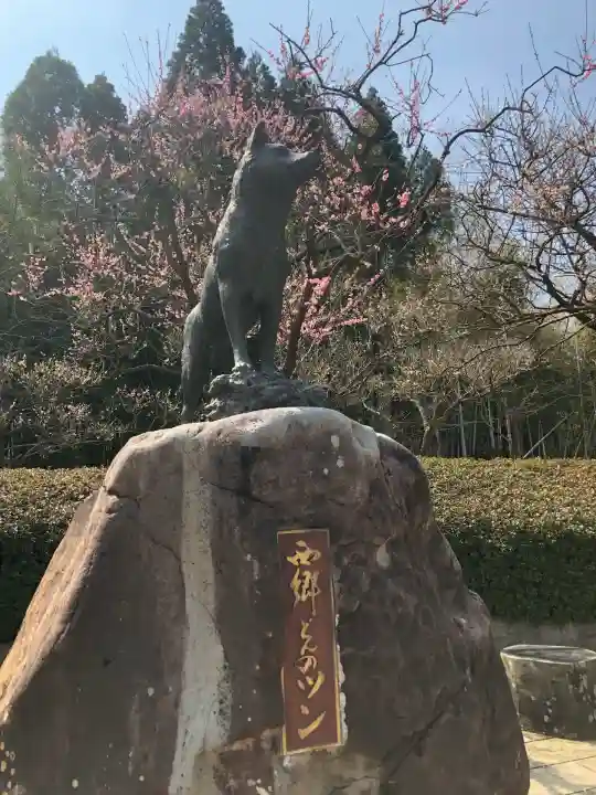 菅原神社(鹿児島県)
