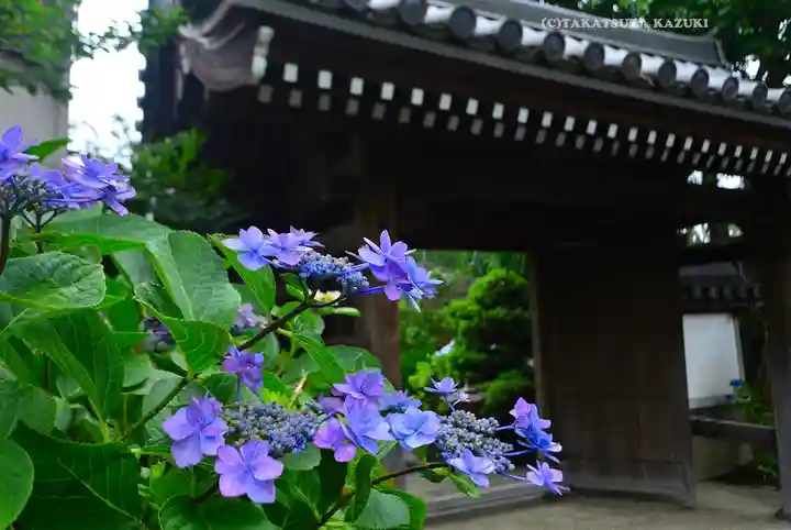 弘明寺(神奈川県)