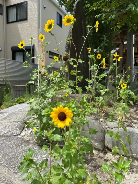 髙帝龍王龍神社(白山宮末社)(愛知県)