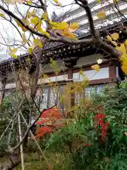 青原寺の本殿