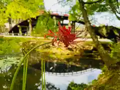 丹生都比売神社(和歌山県)