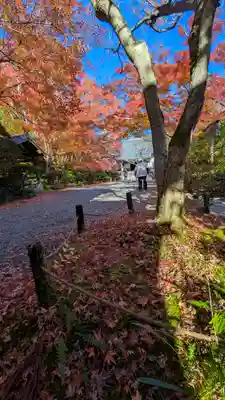 常照寺(京都府)