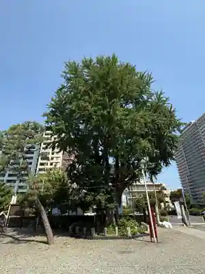 磐井神社(東京都)