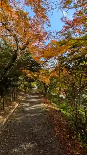 十輪寺(京都府)