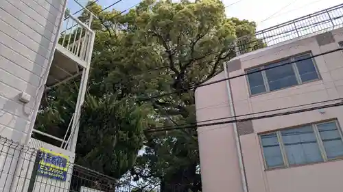 山王神社の自然
