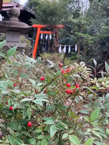 横浜御嶽神社の自然