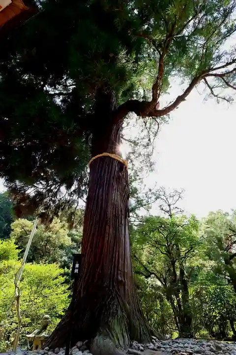石上神宮(奈良県)
