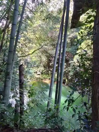 神龍八大龍王神社の周辺