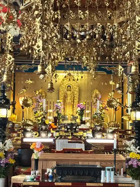 圓應寺の{uncategorized: "未分類", other: "その他", undefined: "問題あり", building: "その他建物", grave: "お墓", sacred_gate: "鳥居", guardian: "狛犬", statue: "像", buddha: "仏像", history: "歴史", nature: "自然", garden: "庭園", animal: "動物", pagoda: "塔", temizu: "手水舎", mountain_gate: "山門・神門", sanctuary: "本殿・本堂", subordinate: "末社・摂社", art: "芸術", scenery: "景色", jizo: "地蔵", ema: "絵馬", goshuin: "御朱印", omikuji: "おみくじ", items: "授与品その他", amulet: "お守り", goshuincho: "御朱印帳", eats: "食事", festival: "お祭り", votive_dance: "神楽", shichigosan: "七五三参", wedding: "結婚式", experience: "体験その他", initially: "初詣", around: "周辺", anti_infection: "感染症対策"}