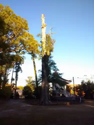 鵜戸神社の自然
