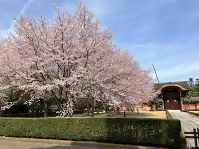 総持寺(神奈川県)