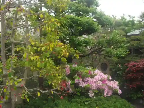 補陀洛寺の庭園