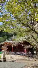 金王八幡宮の本殿