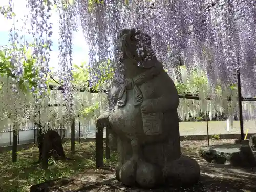 長泉寺の狛犬