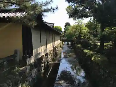 大覚寺(京都府)