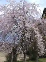 福徳寺(京都府)