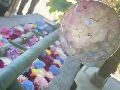 岡寺（龍蓋寺）(奈良県)