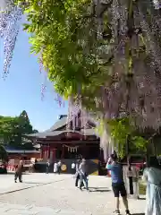 笠間稲荷神社(茨城県)