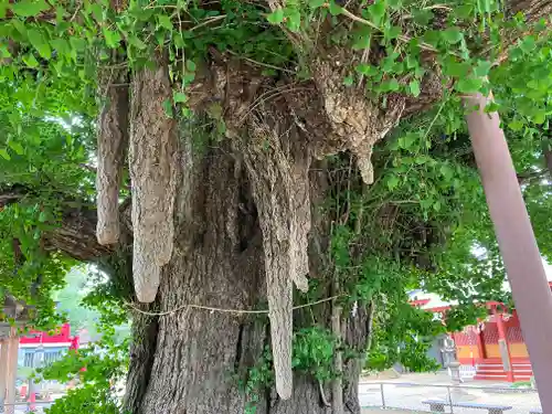 千葉寺(千葉県)