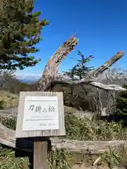 劔山本宮宝蔵石神社の自然