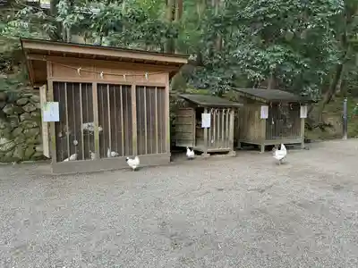 石上神宮(奈良県)
