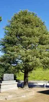 天豊受神社の自然