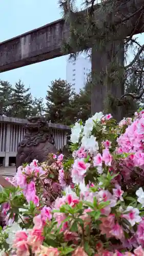 福井神社の{uncategorized: "未分類", other: "その他", undefined: "問題あり", building: "その他建物", grave: "お墓", sacred_gate: "鳥居", guardian: "狛犬", statue: "像", buddha: "仏像", history: "歴史", nature: "自然", garden: "庭園", animal: "動物", pagoda: "塔", temizu: "手水舎", mountain_gate: "山門・神門", sanctuary: "本殿・本堂", subordinate: "末社・摂社", art: "芸術", scenery: "景色", jizo: "地蔵", ema: "絵馬", goshuin: "御朱印", omikuji: "おみくじ", items: "授与品その他", amulet: "お守り", goshuincho: "御朱印帳", eats: "食事", festival: "お祭り", votive_dance: "神楽", shichigosan: "七五三参", wedding: "結婚式", experience: "体験その他", initially: "初詣", around: "周辺", anti_infection: "感染症対策"}
