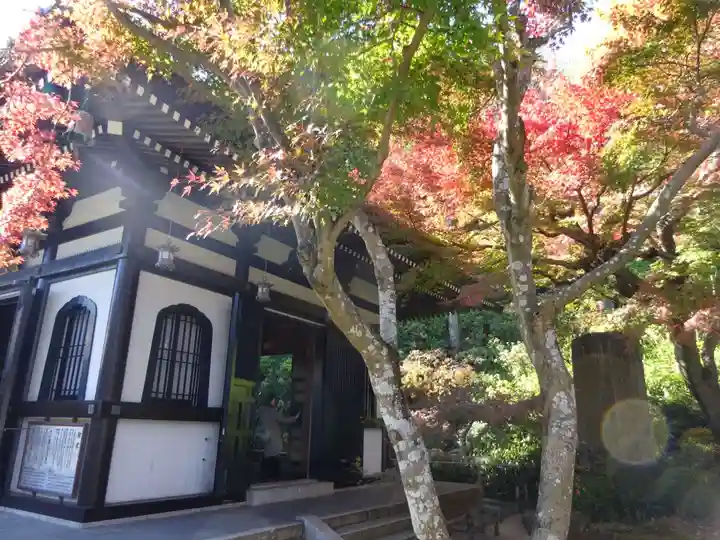 長谷寺の末社・摂社