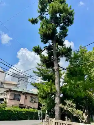 神明神社(神奈川県)