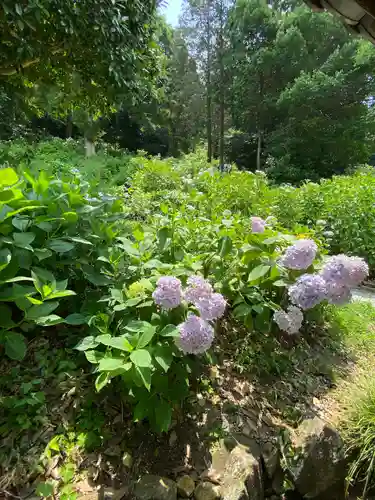 吉備津神社(岡山県)