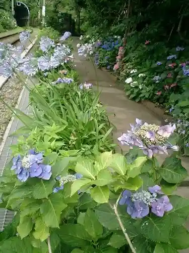 御霊神社の自然