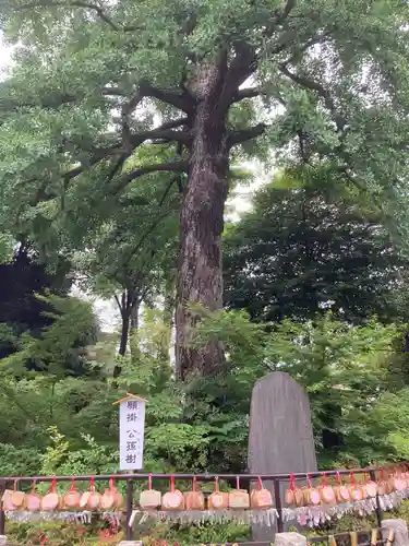 七社神社の庭園