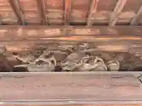 光林寺(千葉県)