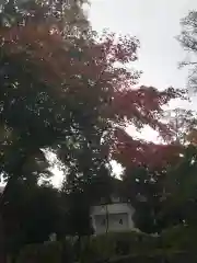 西野神社の建物その他