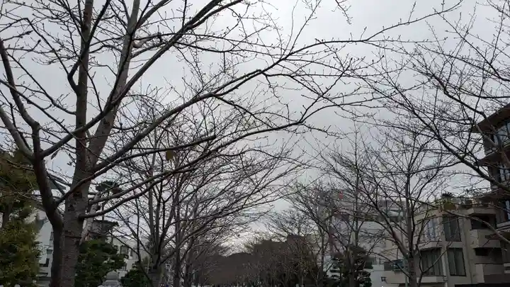鶴岡八幡宮の自然