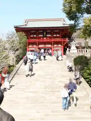 鶴岡八幡宮の本殿・本堂