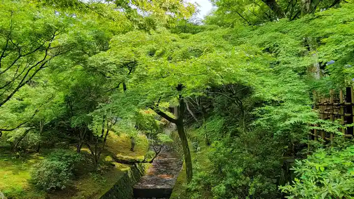 東福禅寺(東福寺)の庭園