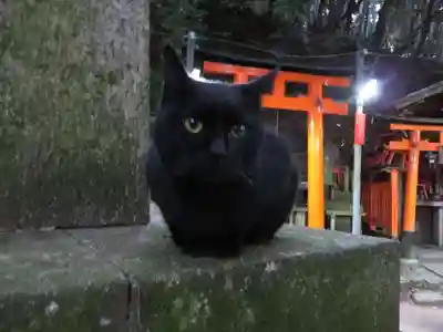 伏見稲荷大社(京都府)